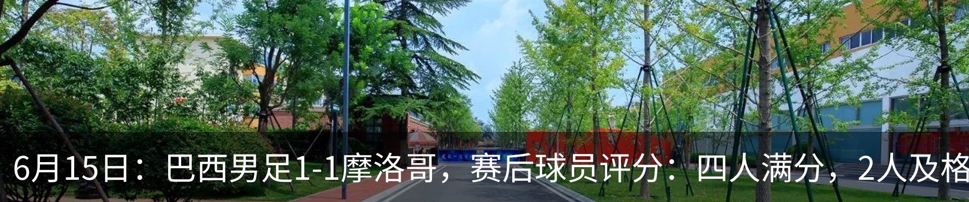 最新动态