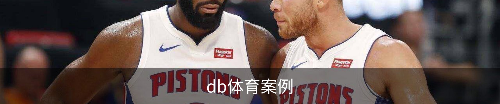 db体育案例